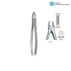 Extracting forceps European pattern fig. 2