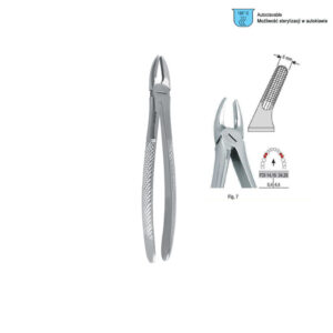 Extracting forceps European pattern fig. 7