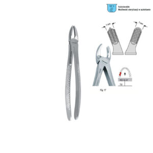 Extracting forceps European pattern fig. 17