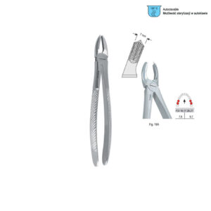 Extracting forceps European pattern fig. 18A
