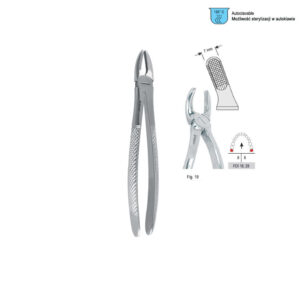 Extracting forceps European pattern fig. 19