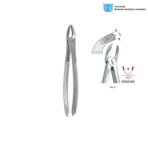 Extracting forceps European pattern fig. 21