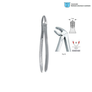 Extracting forceps European pattern fig. 22