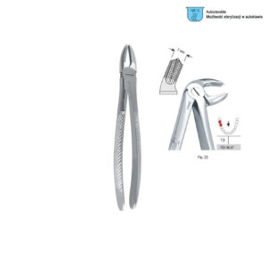 Extracting forceps European pattern fig. 23