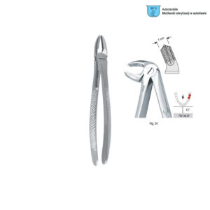 Extracting forceps European pattern fig. 24