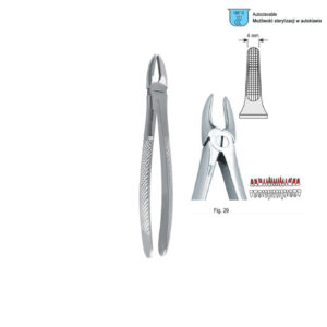 Extracting forceps European pattern fig. 29