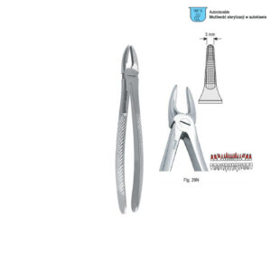 Extracting forceps European pattern fig. 29N