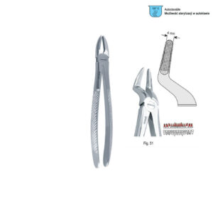 Extracting forceps European pattern fig. 51