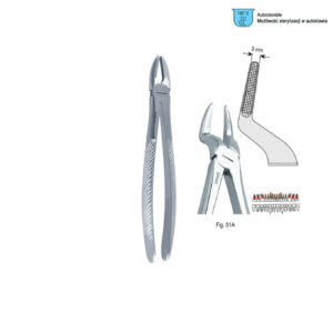 Extracting forceps European pattern fig. 51A
