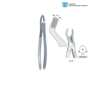 Extracting forceps European pattern fig. 67