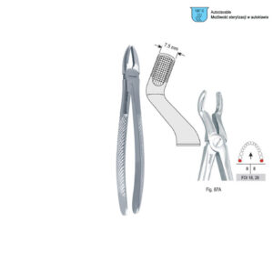 Extracting forceps European pattern fig. 67A