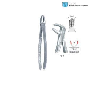 Extracting forceps European pattern fig. 73