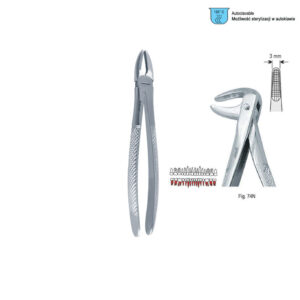 Extracting forceps European pattern fig. 74N