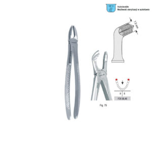 Extracting forceps European pattern fig. 79