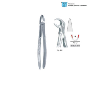 Extracting forceps European pattern fig. 86C