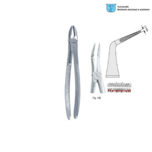 Extracting forceps European pattern fig. 145