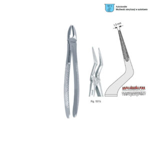 Extracting forceps European pattern fig. 151 1/2