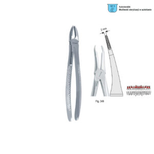 Extracting forceps European pattern fig. 349