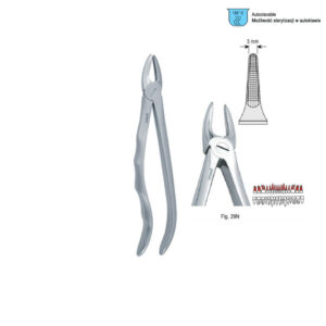 Extracting forceps with anatomical handle fig. 29N