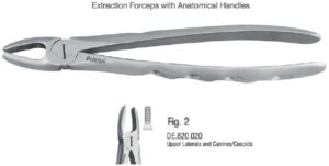 Extraction forceps with anatomical handle fig. 2
